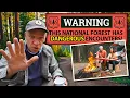 The Shasta-Trinity National Forest is NOT What You Think 3 CHILLING Encounters