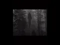 Download Lagu Somber- Take me away (slowed) (read desc)