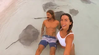 Dinner with A Dozen Stingrays!! Ep. 184