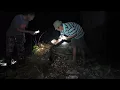 Download Lagu Bakar Sarang Lebah Di Kebun Sawit Mr Gunjau//Lama Tidak Makan Indu Gamang//Sedap Aok