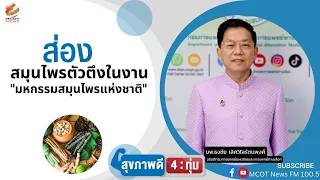 สมุนไพรไทยตัวใดที่ถูกยกย่องว่าเป็นหนึ่งในสามตัวชูโรงของงานสมุนไพรแห่งชาติปีนี้