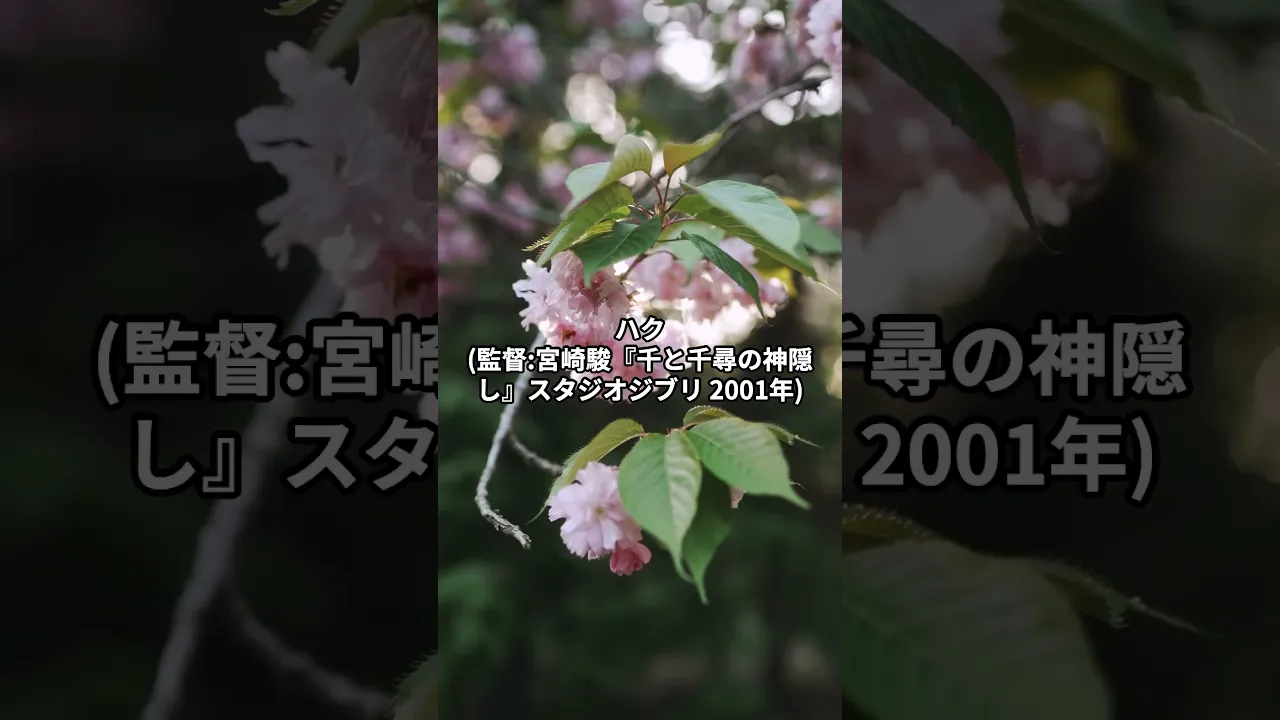 心に響くジブリ名言！落ち込んだ時に頑張れるパワーをもらえる言葉