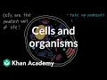 Cells and Organisms Middle school biology Khan Academy