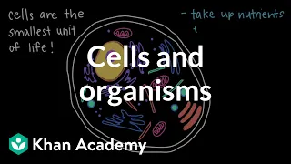 Cells and Organisms Middle school biology Khan Academy