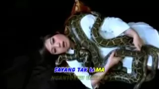 imelda hoshi kereta malam