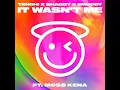 It Wasn't Me (feat. Moss Kena) - Tenchi, Shaggy & Embody