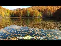 Download Lagu Музыка  Для  Души ,, ОСЕННИЙ  МОТИВ ,, Музыка Сергей Грищук #красиваямузыка #музыкасергейгрищук