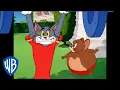 Download Lagu Том и Джерри | Новогодние цели Тома и Джерри | WB Kids