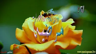 ما معنى اسم مرضية وبعض من صفات حاملة هذا الاسم على قناة معاني الاسماء Mardiya 