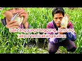 Download Lagu Kebahagiaan sederhana, mancing di spot belakang rumah !!SN-041