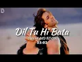 Lagu Dil tu hi bata // krish 3 // lofi song | relaxing music | super hit song