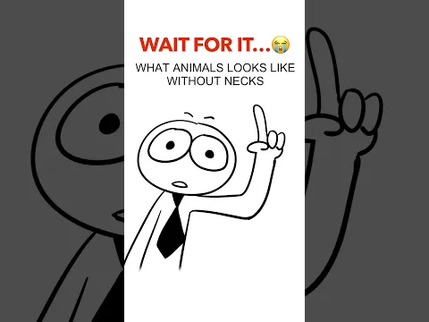 No Neck 😂 (Animation Meme) Anim: Mansurella #shorts