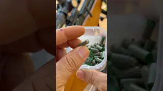 Testando chumbinho cartucho !