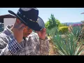 Texas Hold ‘Em (Gospel Version) | Official Audio