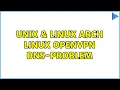 Unix Linux Arch Linux OpenVPN DNS-Problem