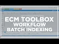 Workflow Batch Indexing