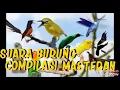 Download Lagu KOMPILASI MASTERAN SUARA 13 BURUNG terlengkap untuk usia PAUD