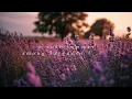 A soft summer among lavender fields | Piano Playlist