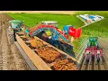 Download Lagu Sárgarépa vetés / feldolgozás | Carrot Harvesting | 8270R + Grimme + Asa-lift + Wyma | Szalai László