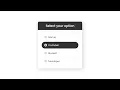 Awesome Custom Radio Buttons using only HTML CSS Option Buttons in CSS