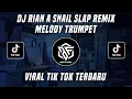 DJ RIAN A SNAIL SLAP REMIX VIRAL TIK TOK TERBARU 2022