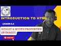 Lesson 5 4 Height and Width Properties of Images