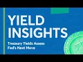 Yield Insights Treasury Yields Assess Fed s Next Move