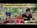 Download Lagu PULANG DARI RUMAH PONTIANAK LANJUT TANAM BATANG SINGKONG YANG DI BAWAKAN MAMA