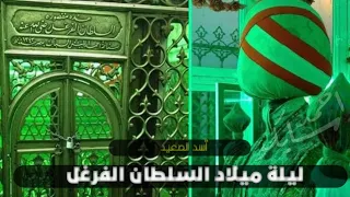 ليلة ميلاد العارف بالله جدي سلطان الصعيد الإمام أحمد الفرغل   عائلة الاشراف دندنها