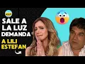 SALE A LA LUZ DEMANDA que Lorenzo Luaces INTERPUESTO contra Lili Estefan