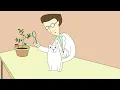 Schrödinger's cat: A thought experiment in quantum mechanics - Chad Orzel