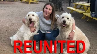 Doodle Reunion and Bangkok Bound! – S1:E49