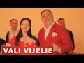 Lagu Vali Vijelie ✘ Gino Greierasul - Are fata, are (Oficial Video) 2026
