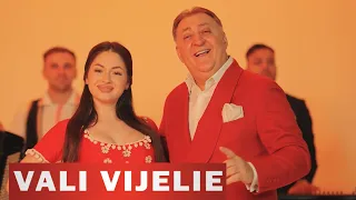 Vali Vijelie si Gino Greierasul - Are fata, are