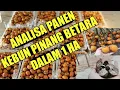 Download Lagu ANALISA PANEN KEBUN PINANG BETARA DALAM 1 HA