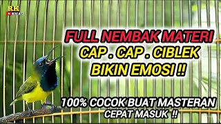 sogon gacor nembak materi cap cap ciblek 100 cocok untuk masteran sogon bahan ombyokan