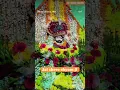 Download Lagu 🙏🙏🙏🙏Shyam Meri Puja Shyam Mera sab kuchh hai 🙏🙏🙏🙏