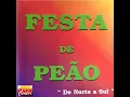 Lagu Festa de Peão - De Norte a Sul (CD COMPLETO)