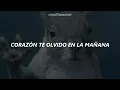 Amor es tan corto el cariño 🐿️ (meme ardilla de TikTok) Los Vaguens - California • (Letra)