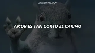 Amor es tan corto el cariño 🐿️ (meme ardilla de TikTok) Los Vaguens - California • (Letra)