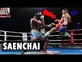 Lagu Saenchai Highlight