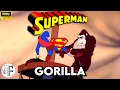 Lagu Superman vs Gorilla | Classic Vintage Cartoons HD | TFE cartoons