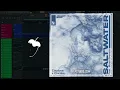 Claptone, Chicane feat. Moya Brennan - Saltwater (FL Studio Remake)