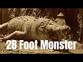 Download Lagu Largest Crocodile Killed (Krys “The Savannah King”)