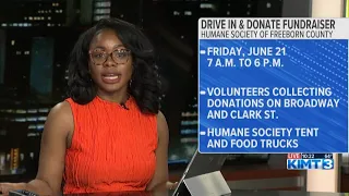 Humane Society of Freeborn County holding annual Drive In Donate fundraiser this Friday