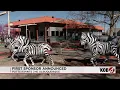 Albuquerque mini golf course reopens as Putts-N-Pints with upgrades