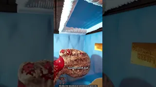 ماذا يحدث لجسمك بعد الموت رحلة التحلل خطوة بخطوة 