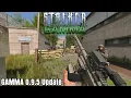 My FINAL Thoughts on the NEW GAMMA Update - S T A L K E R GAMMA 0 9 5