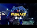 Pangako | Cueshe - Sweetnotes Cover