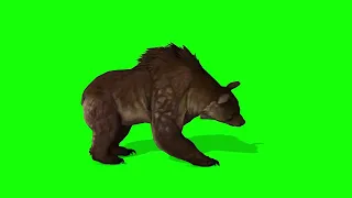 anime free green screen chroma key vfx animals brown bear 3d animation cartoon 4k hd
